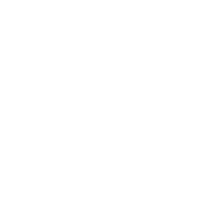 persona inc icon