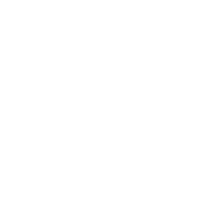 First Spark: Hand on the Torch persona inc icon